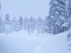 California Snowpack Reaches 250%, Reservoirs Begin To Fill From Recent Storms